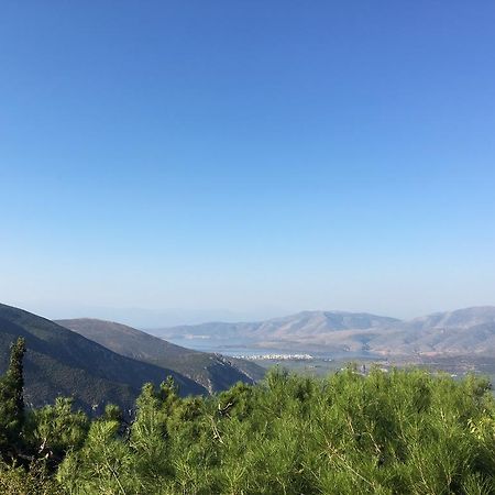 Delphi Palace Εξωτερικό φωτογραφία