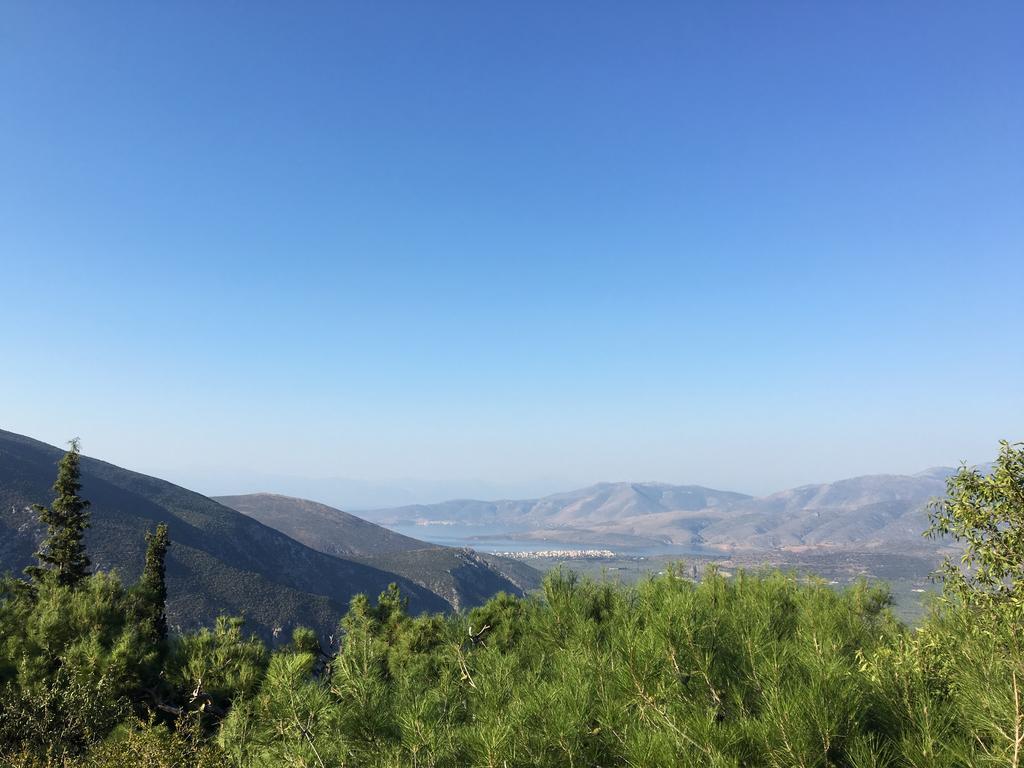 Delphi Palace Εξωτερικό φωτογραφία